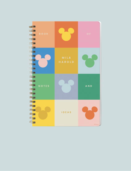 Disney Notebooks